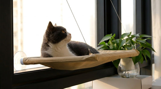 Hamaca Colgante Ventana "Gato Explorador" - Soporte Ultra Resistente (20kg)